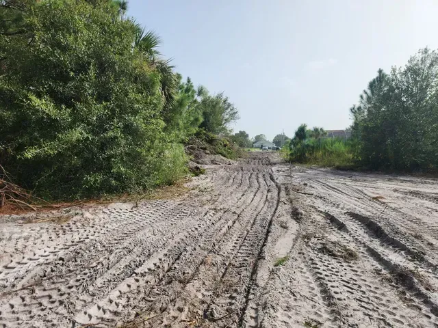 Dirt road with tire tracks, trees on both sides, bright sky.