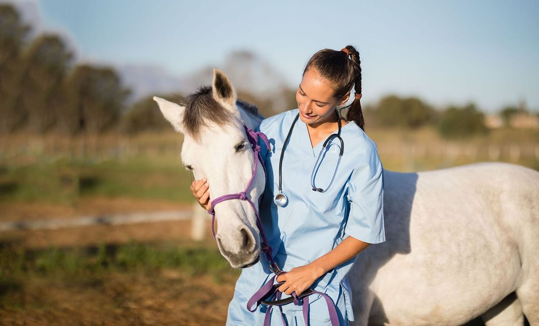 Woman in a blue shirt gently holding a white horse in a sunny field