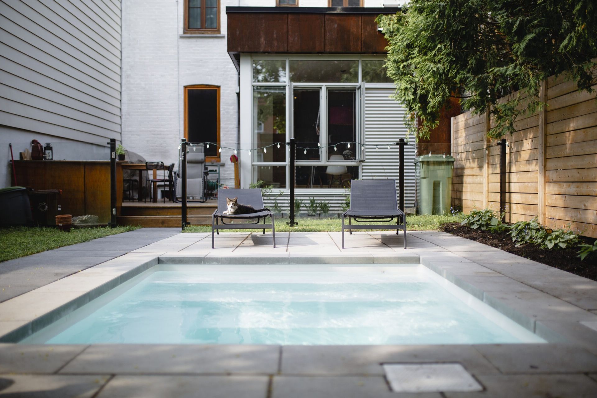 Modern backyard plunge pool with clean stone pavers, two black lounge chairs—one with a relaxed cat—and a cozy patio area with string lights, surrounded by a mix of wooden fencing, trees, and contemporary home architecture.