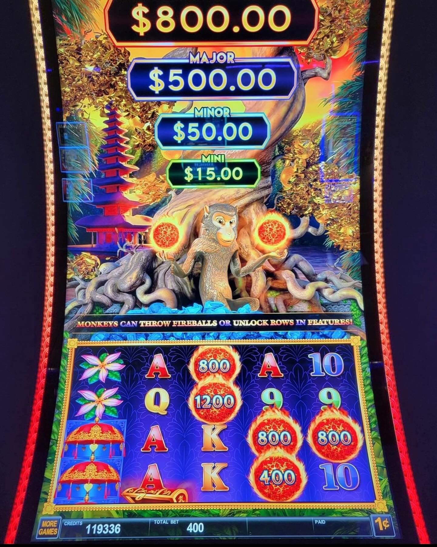 winner of the Wild Life game