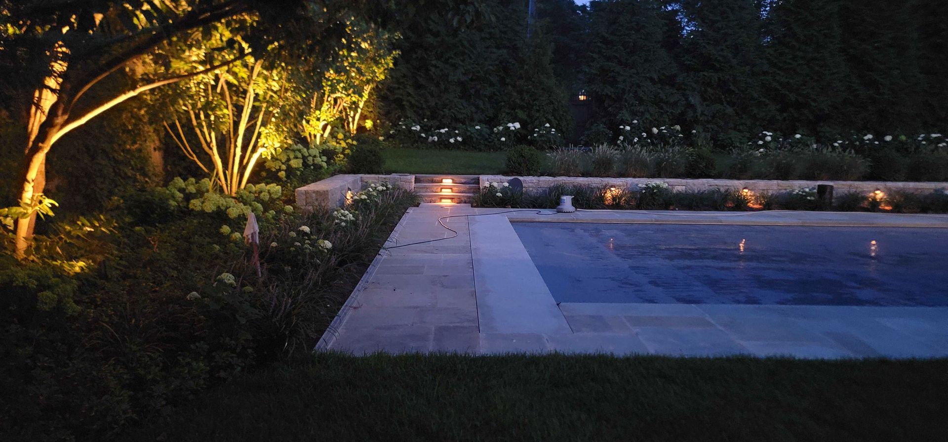 Night outdoor scene with a pool, illuminated trees, and landscaping.