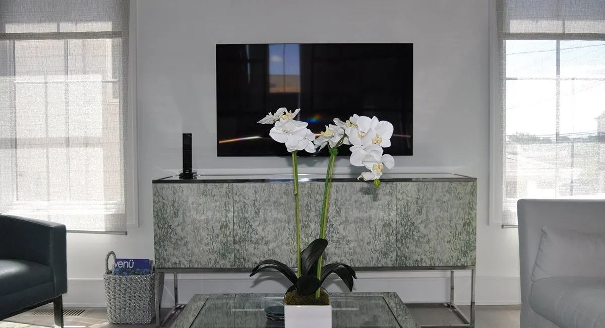 Living room with TV above a cabinet, windows on either side, and an orchid on a coffee table.