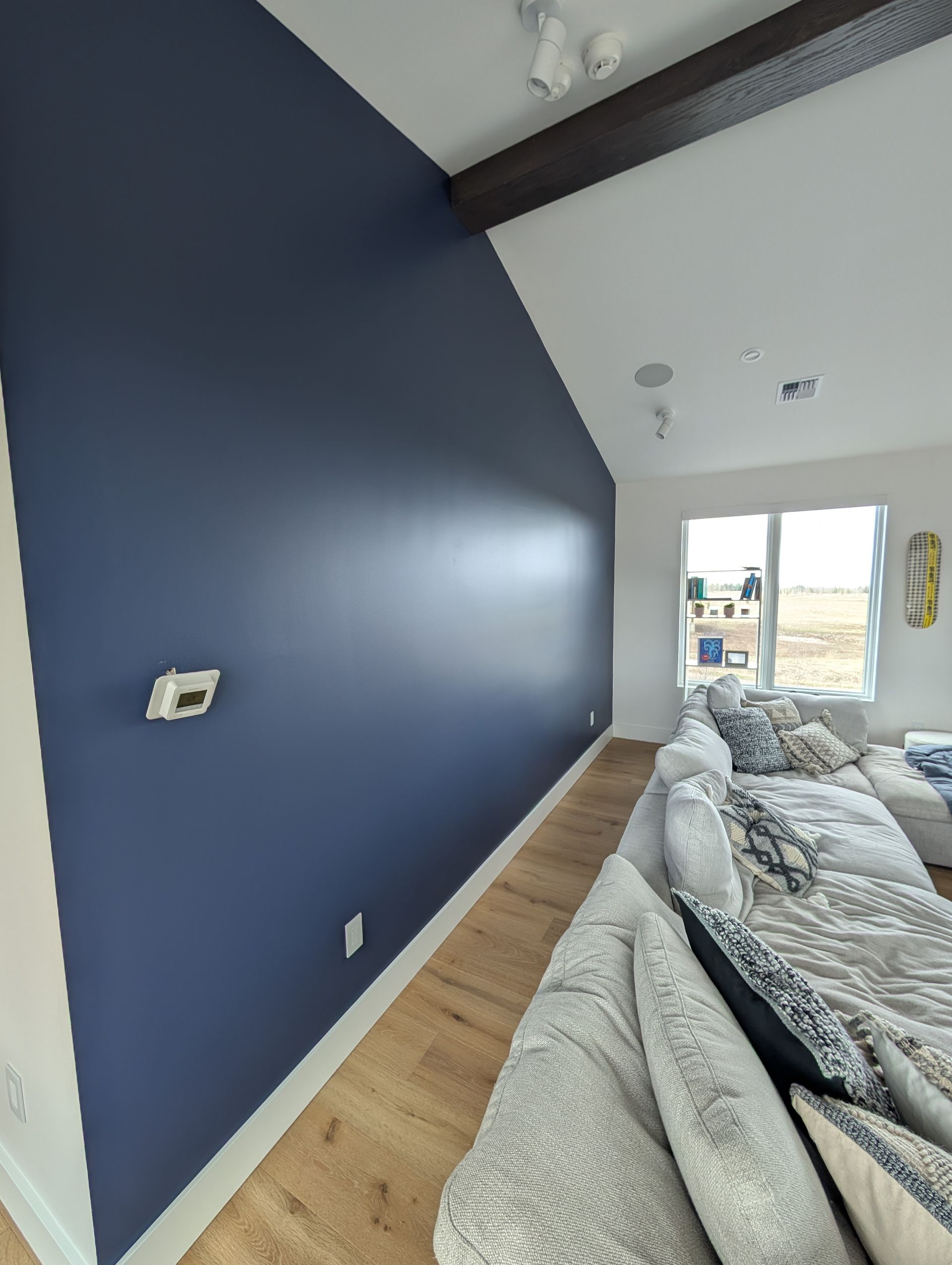 A modern living room with a navy blue accent wall, white trim, and light wood flooring. A white sectional sofa is on the right.
