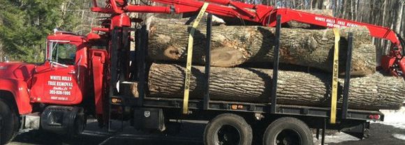 Log-length firewood on truck