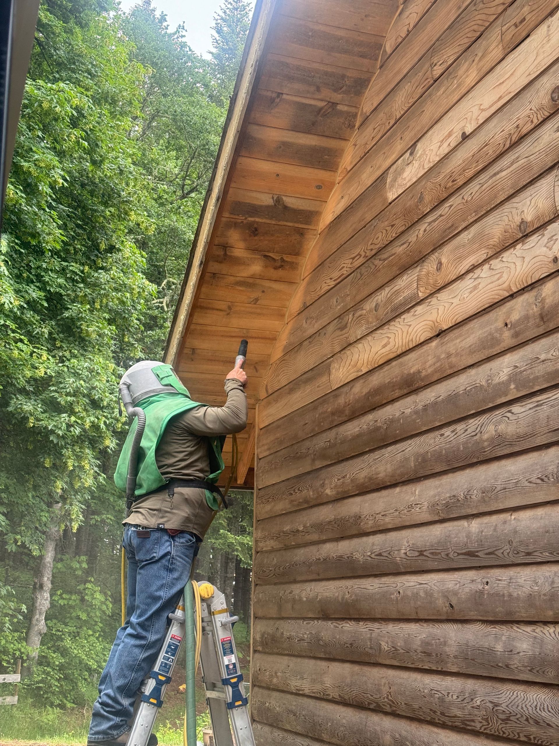 Person on a ladder painting a wooden cabin exterior. Wearing protective gear, they apply stain near the roof in a wooded area.