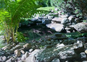 Mulch and Landscaping