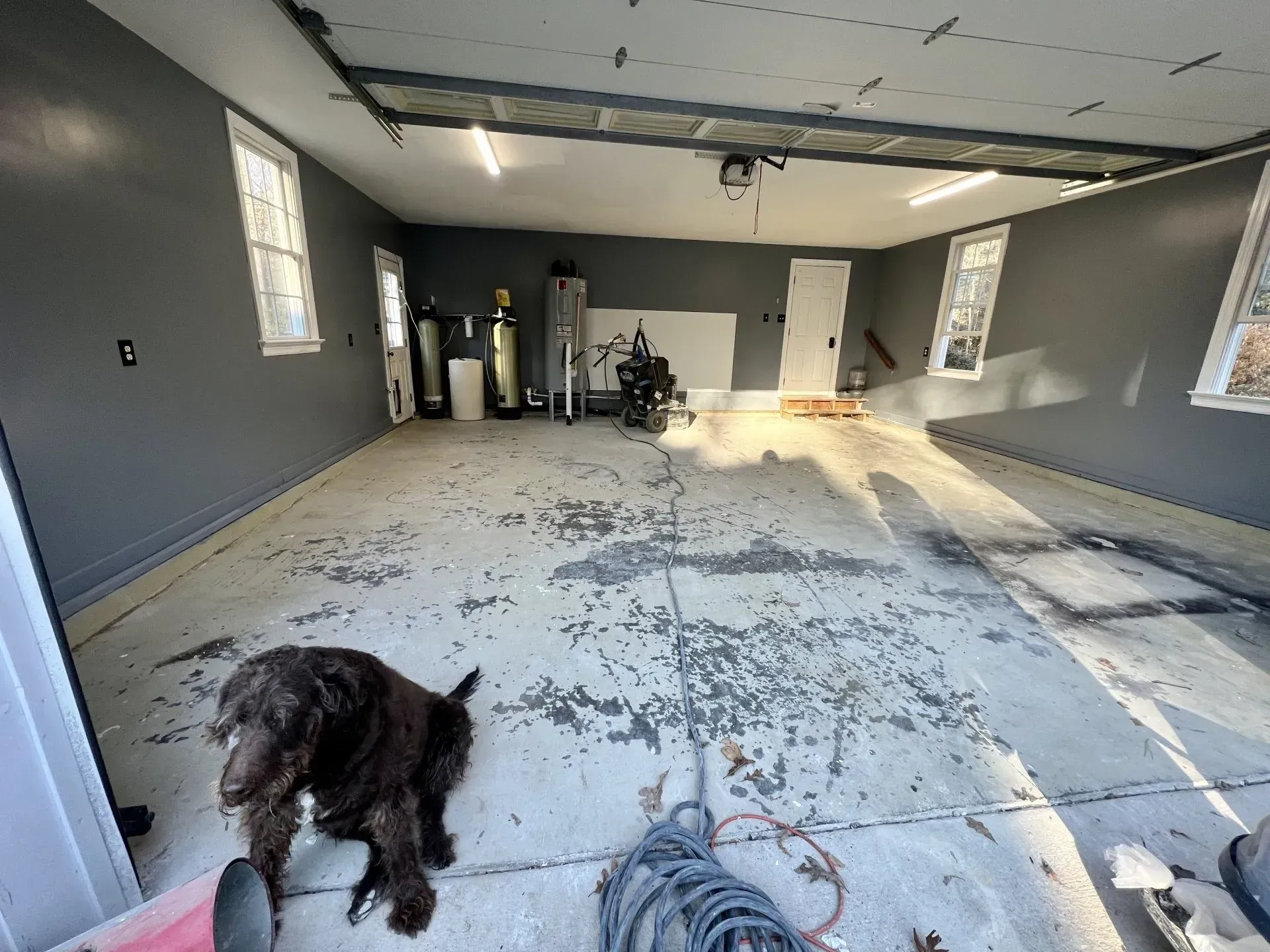 Unfinished garage with gray walls and concrete floor; a black dog stands in the foreground.