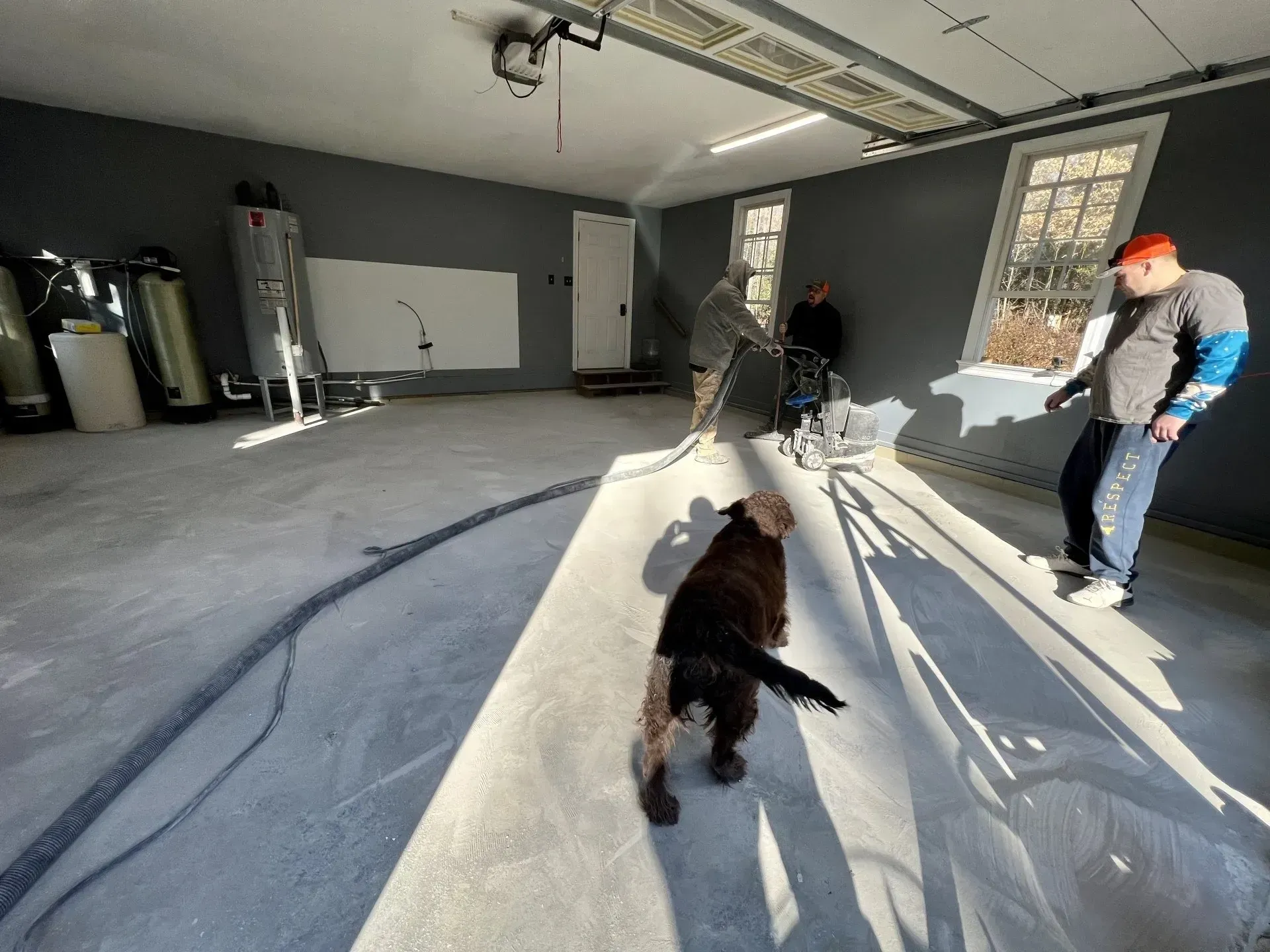 Dogs on leashes in a garage, with two people standing nearby in bright sunlight.