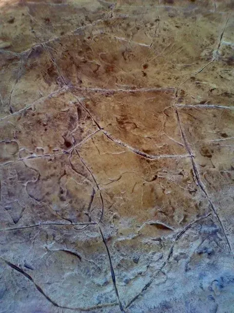 Close-up of a textured brown and gray stone surface with cracks and veins