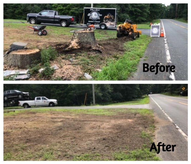 Stump removal experts