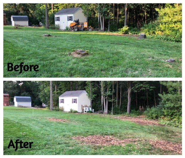 Stump removal experts