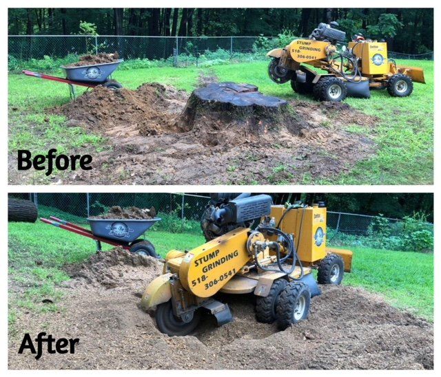 Stump removal experts