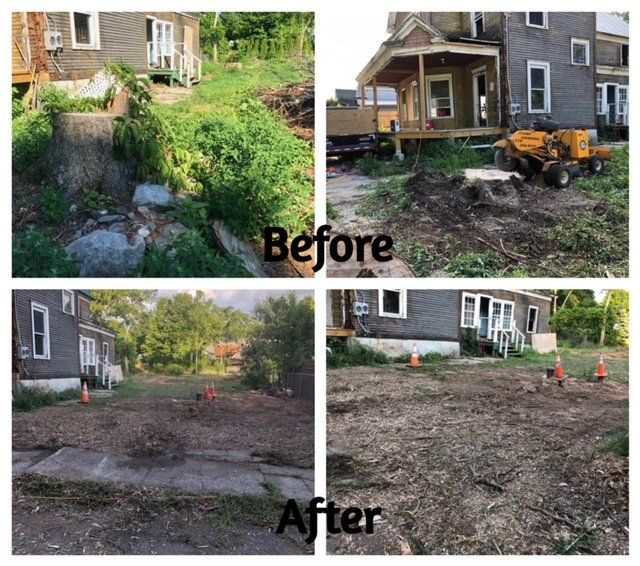 Stump removal experts