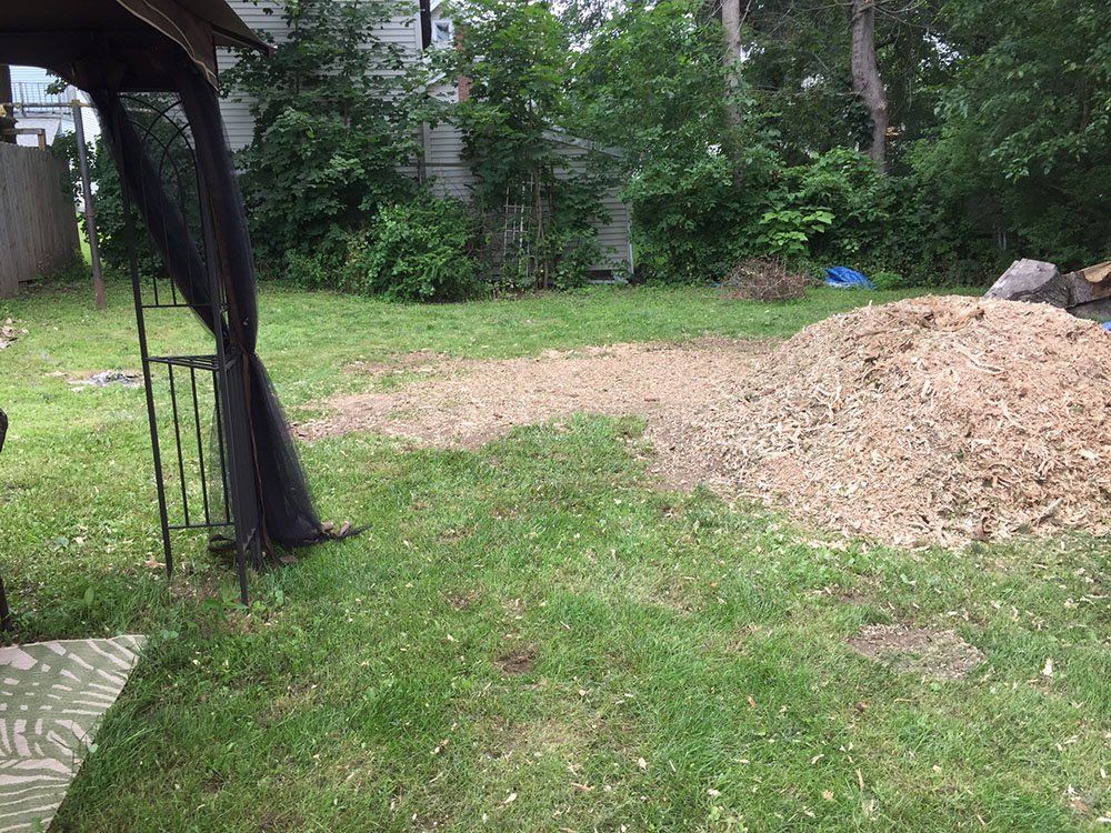 Stump Removal Experts