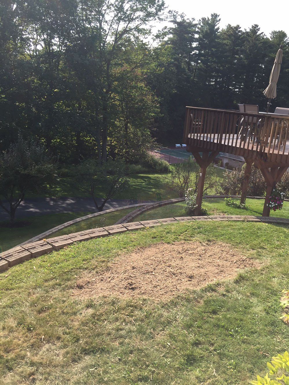 Stump Removal Experts