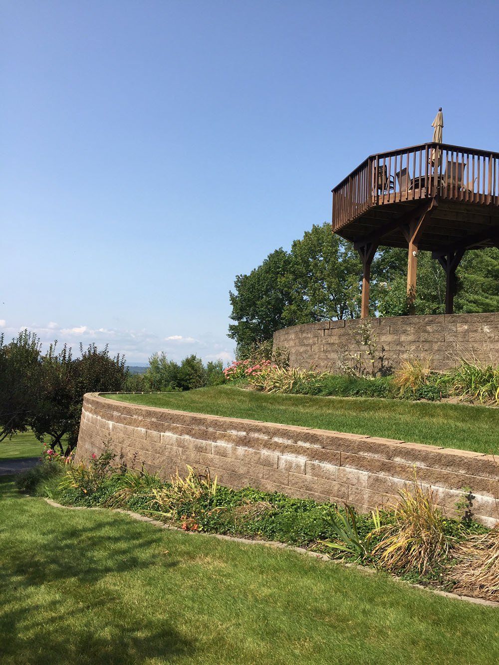 Stump Removal Experts