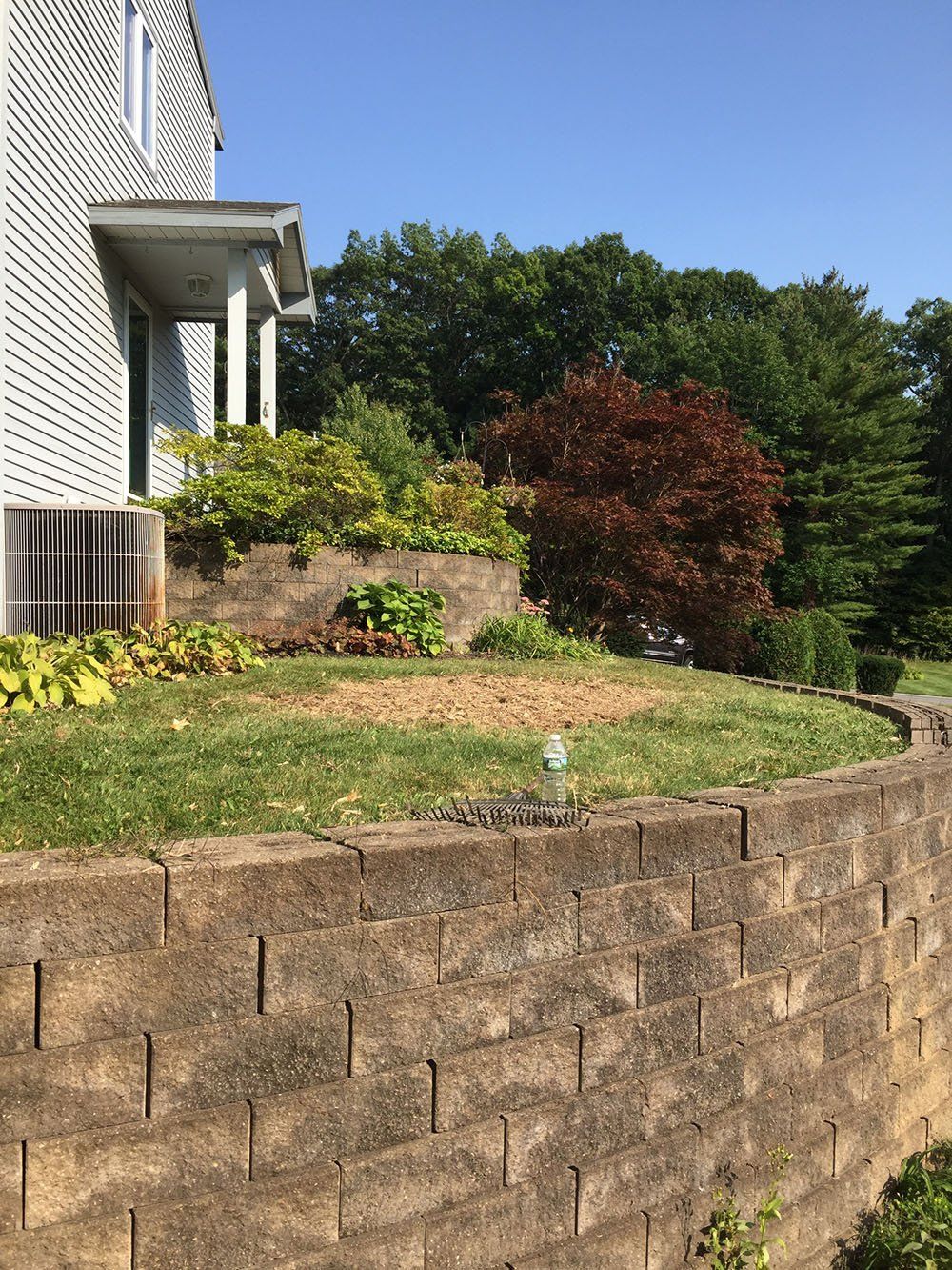 Stump Removal Experts