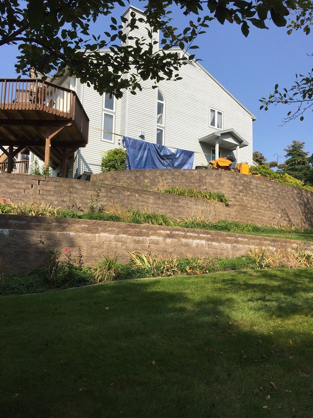 Stump Removal Experts