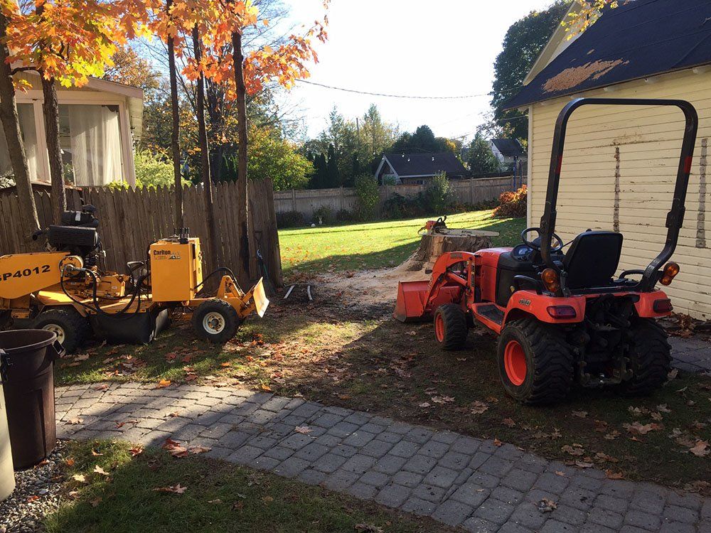 Stump Removal Experts