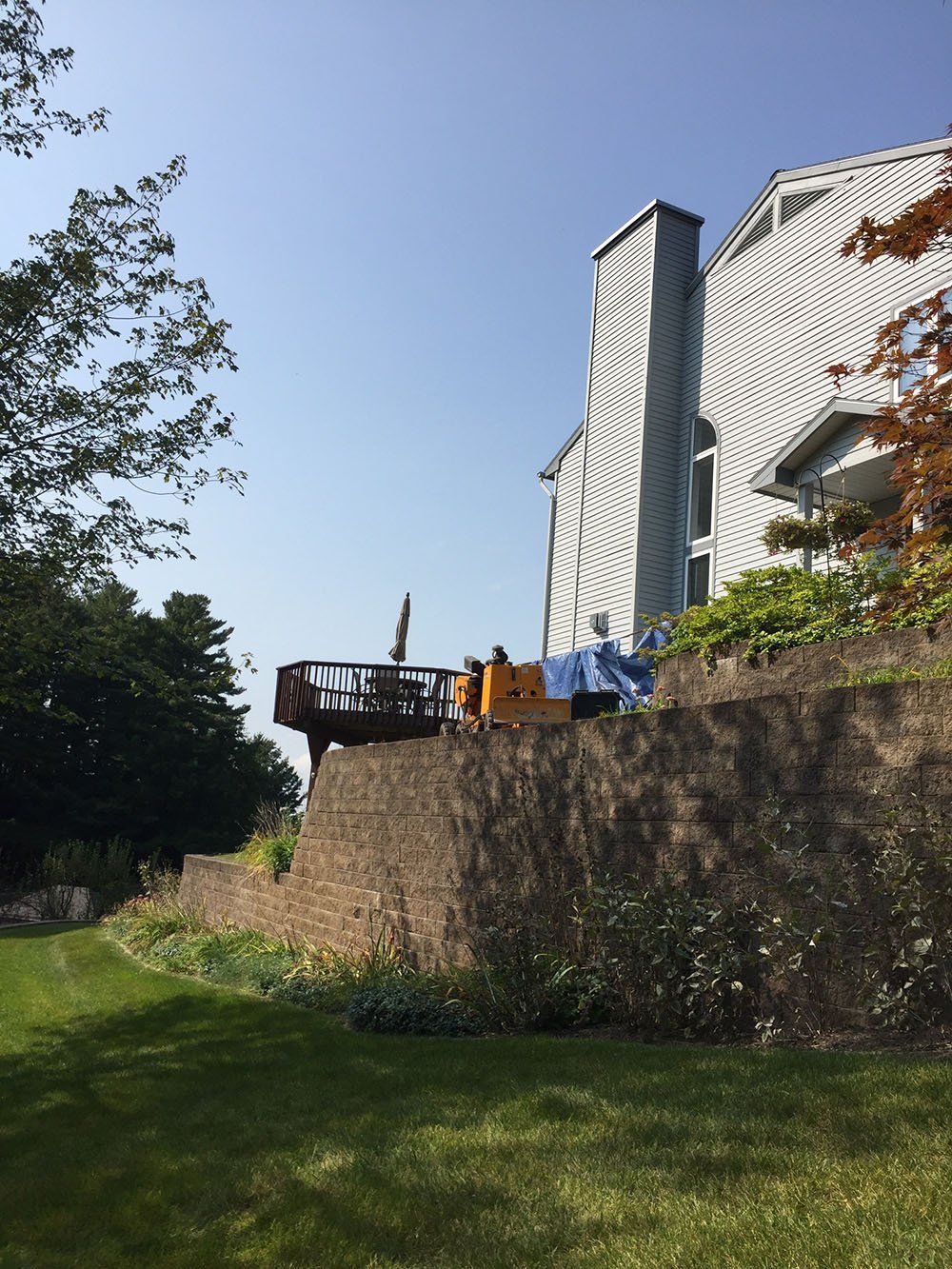 Stump Removal Experts