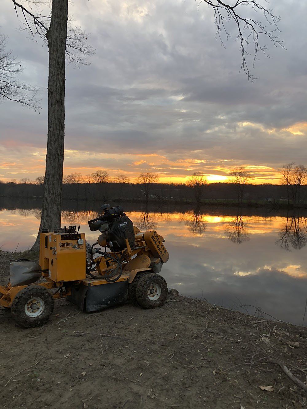 Stump Removal Experts