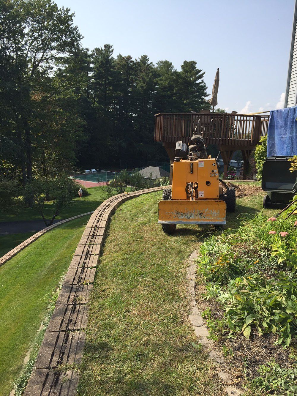 Stump Removal Experts