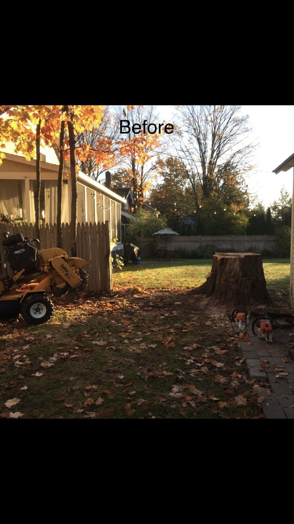 Stump Removal Experts