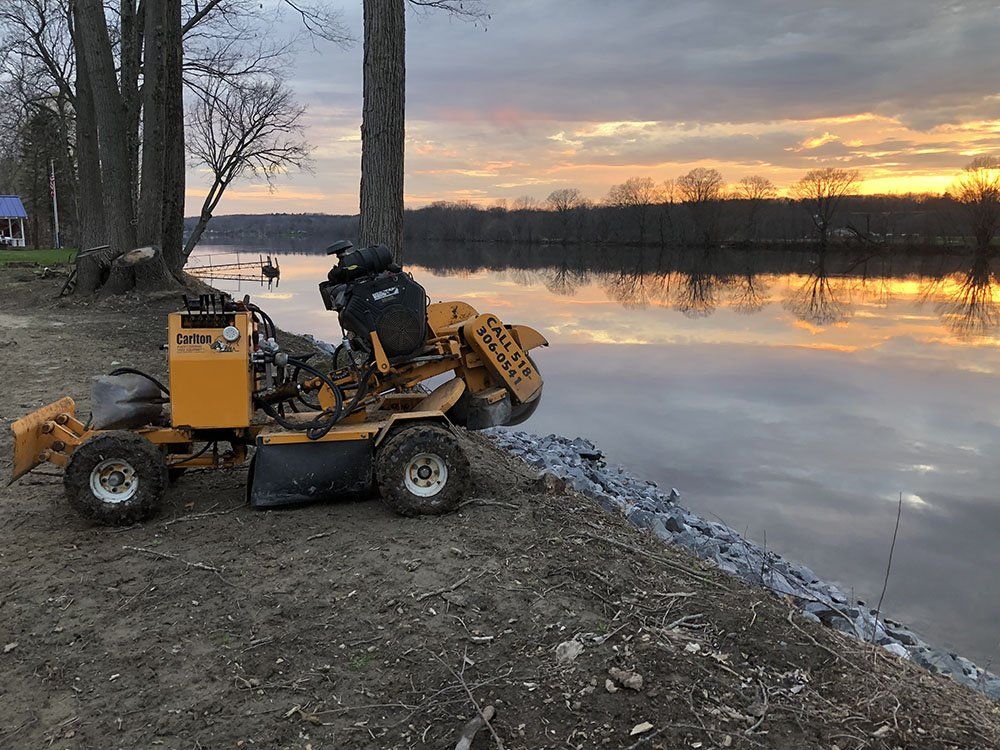 Stump Removal Experts