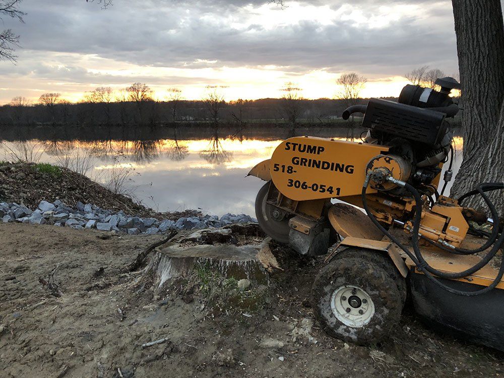 Stump Removal Experts
