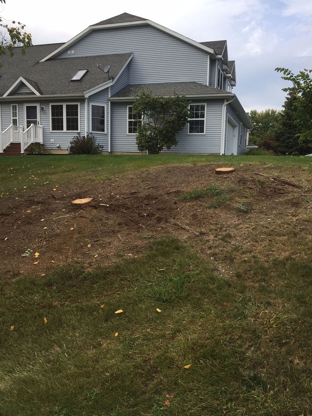 Stump Removal Experts