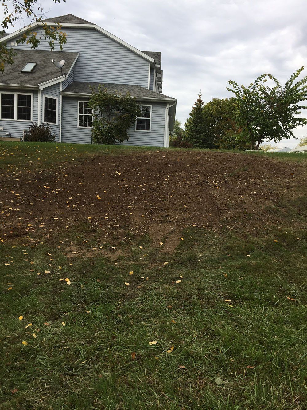 Stump Removal Experts