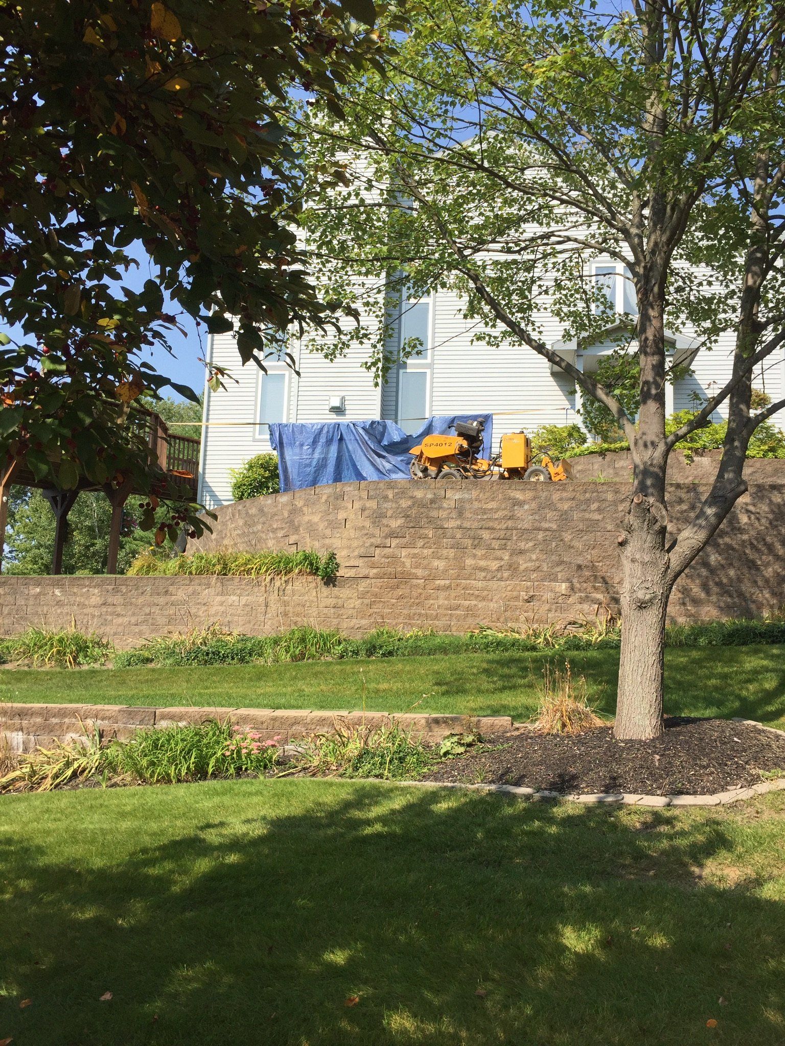 Stump Removal Experts