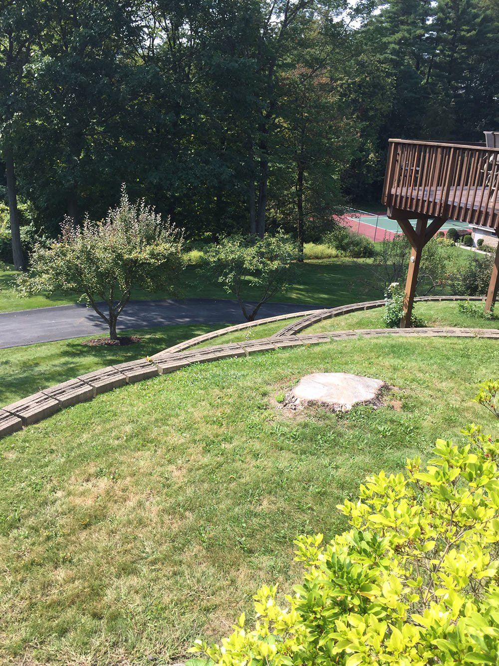 Stump Removal Experts