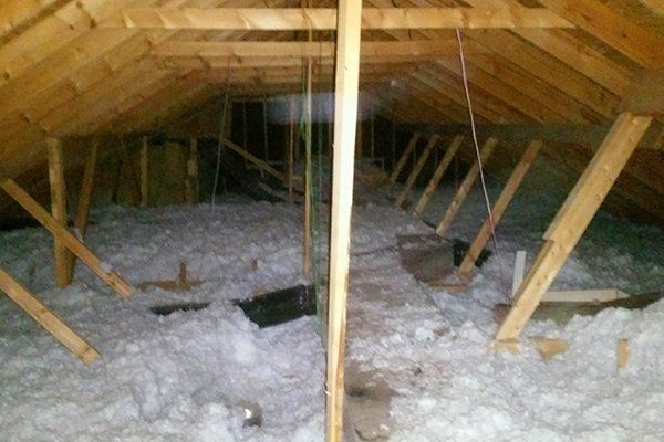 Guano removal