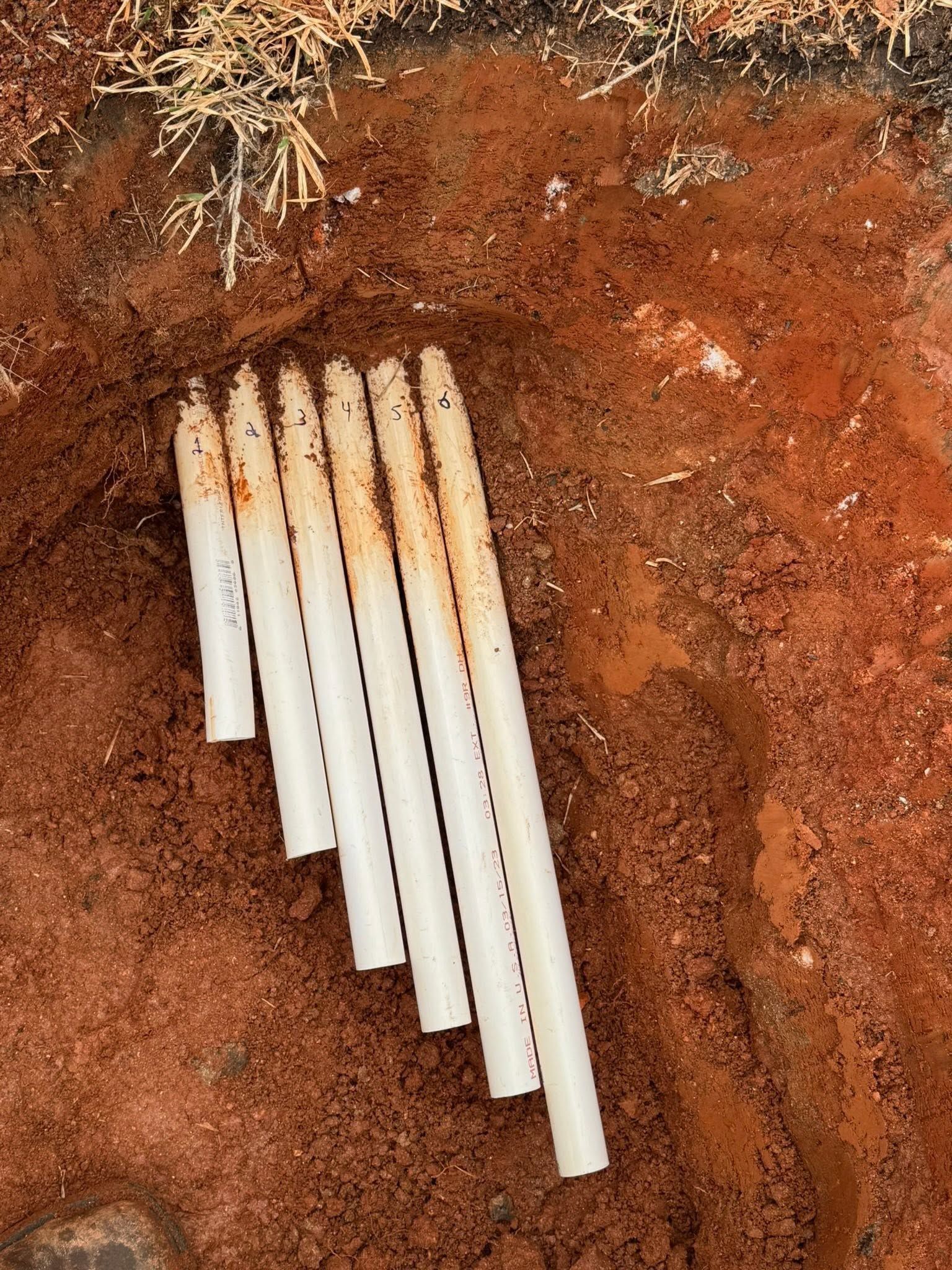 Six white PVC pipes protrude from a reddish dirt trench near exposed roots.
