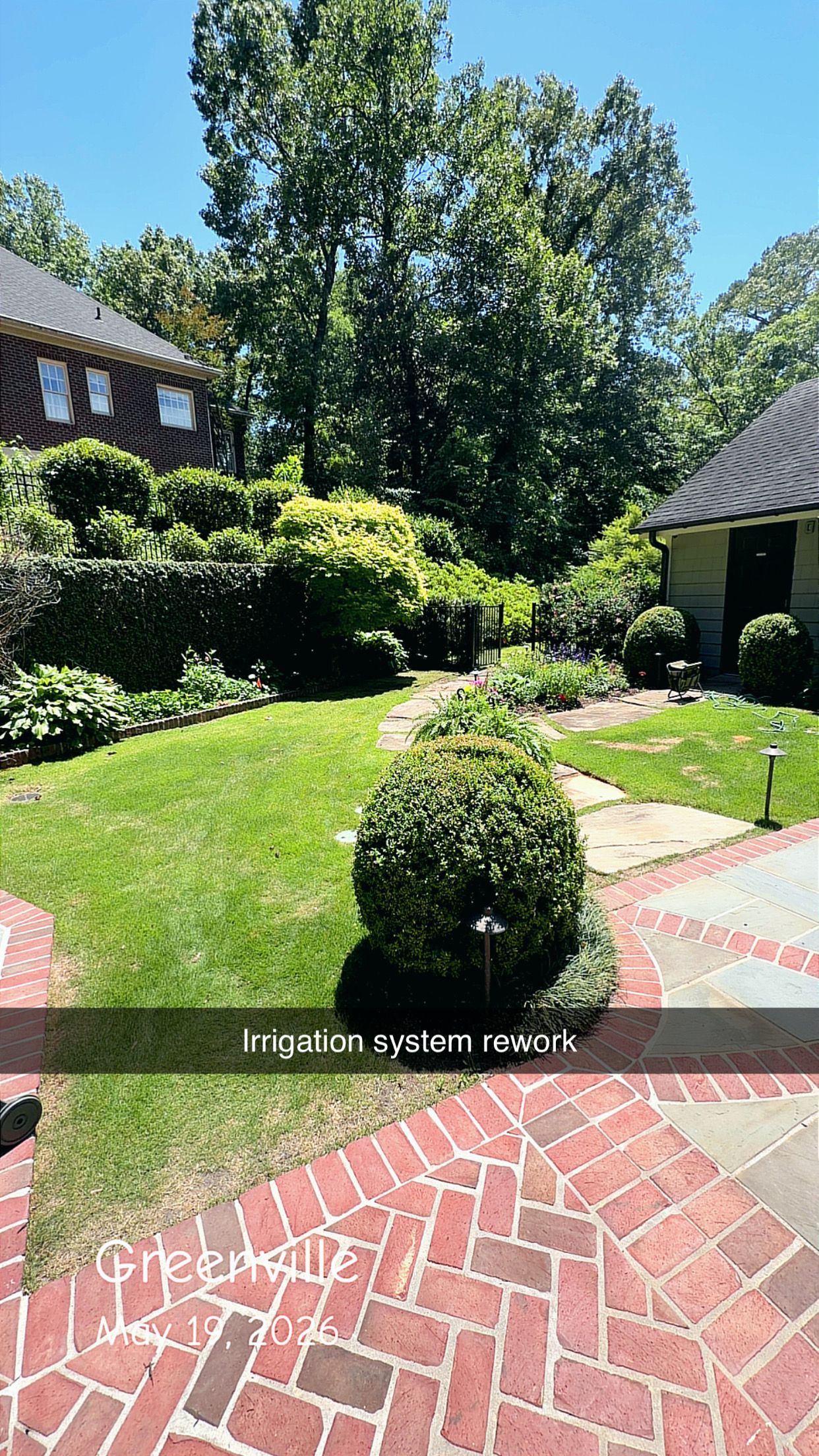 Sunny garden path with brick paving, green shrubs, and tall trees beside houses