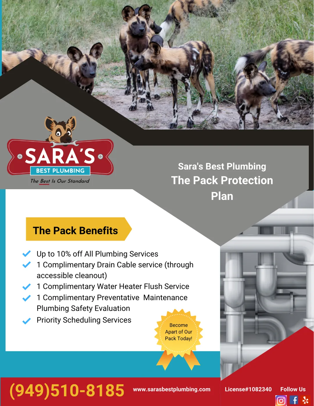 Advertisement for Sara's Best Plumbing, featuring a pack of African wild dogs and benefits.