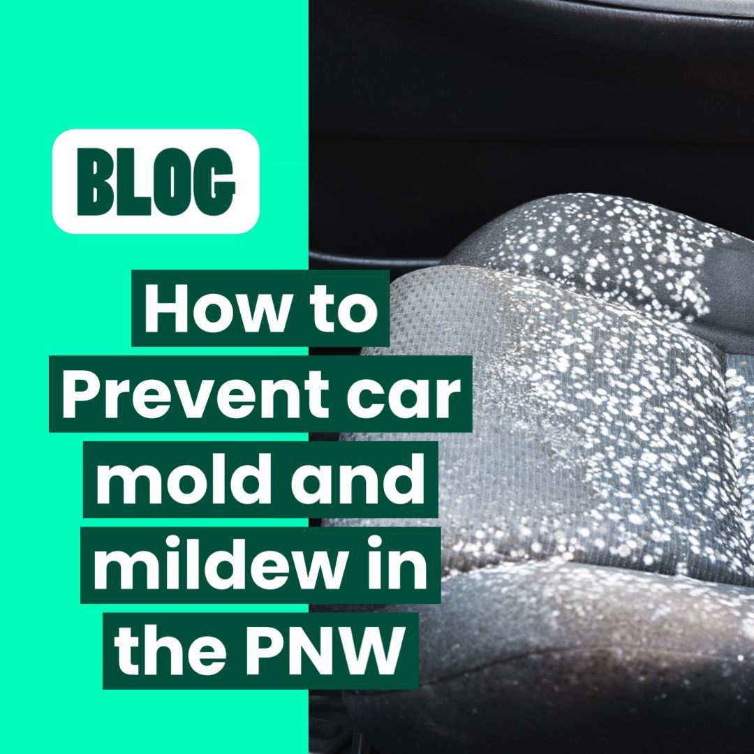 Advertisement for preventing car mold. Car seat covered in white mold with text, 