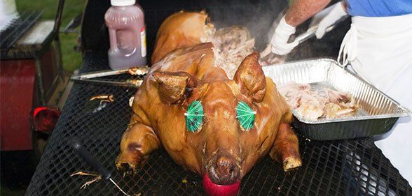 Hog roasting