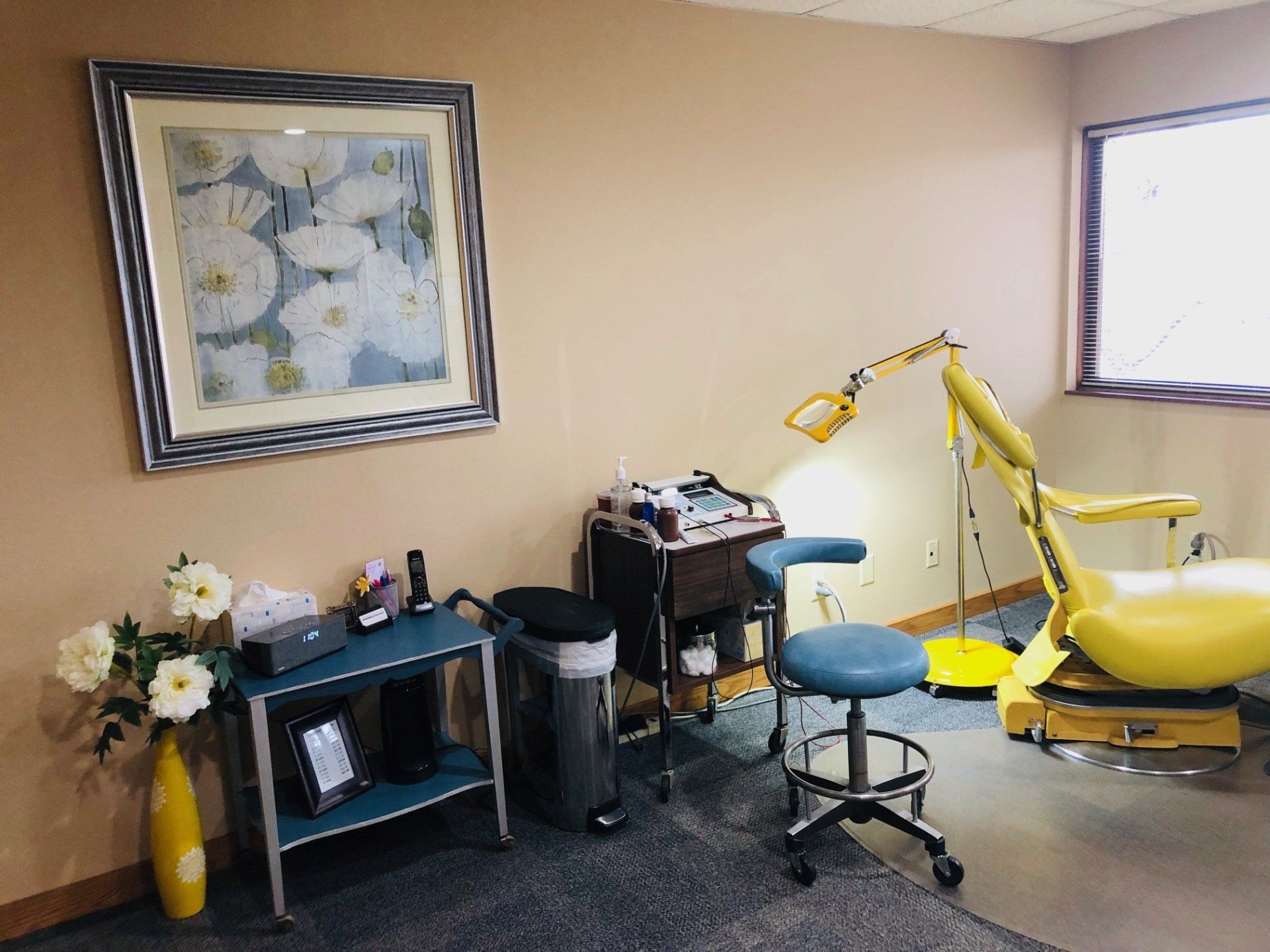 Thermolysis Blend Electrolysis Madison, WI