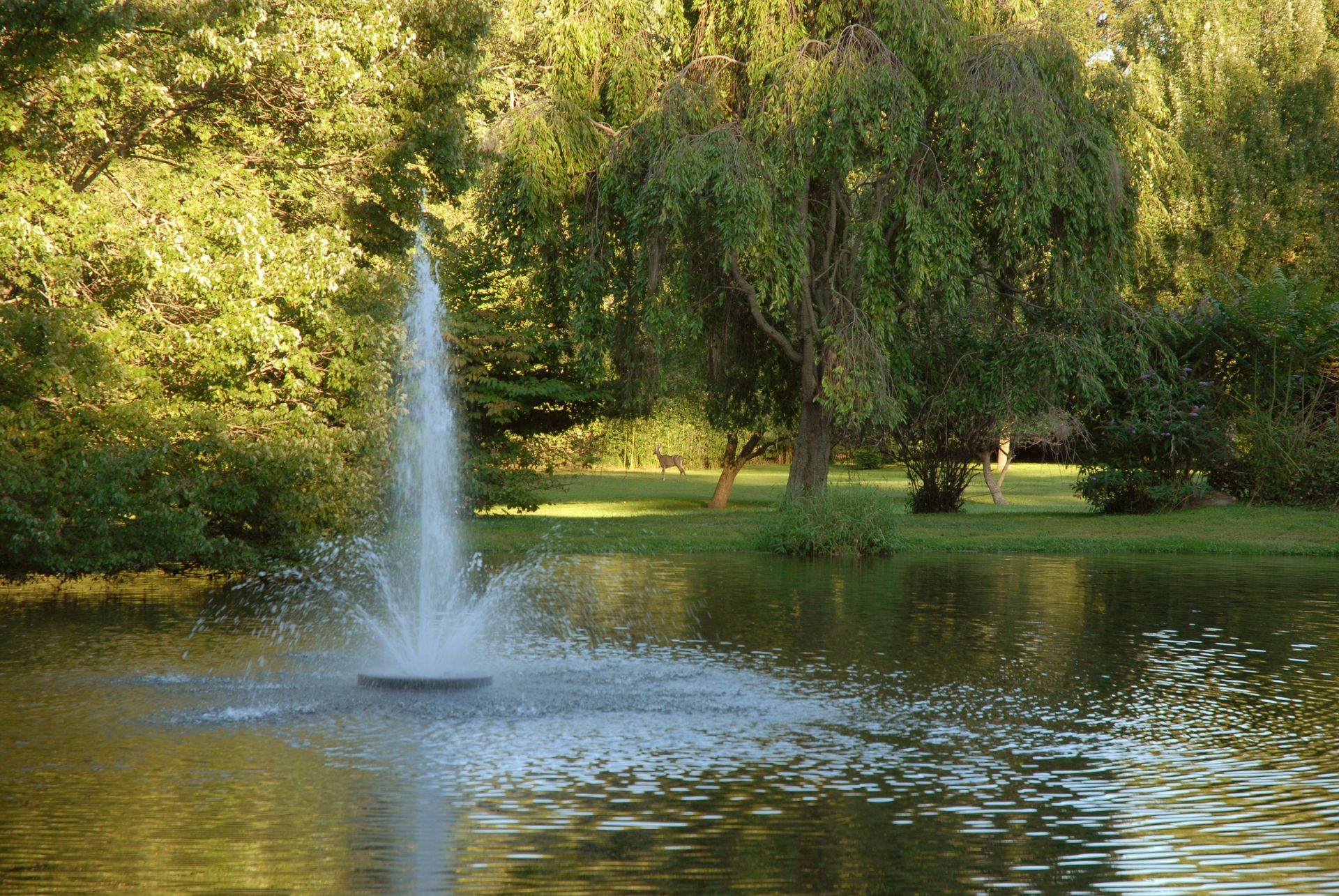 stormwater pond management