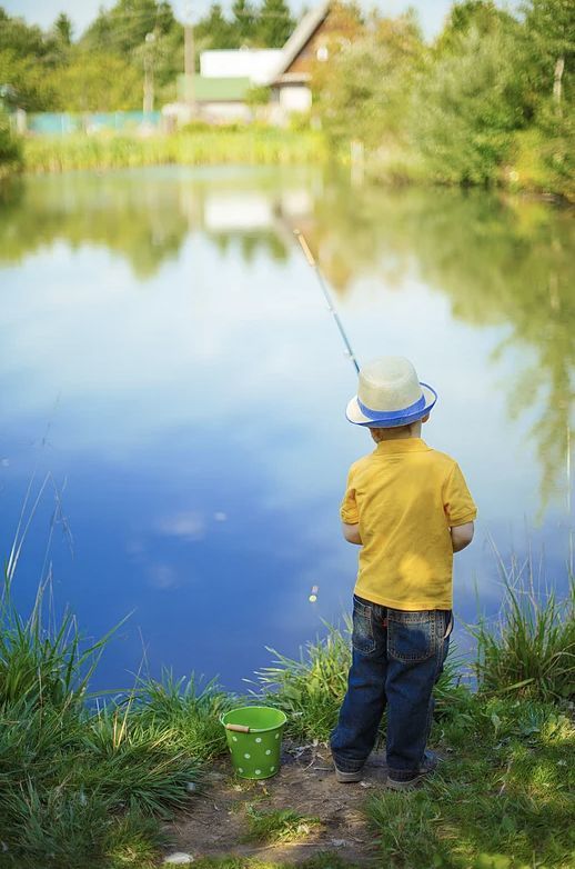 Fish stocking services