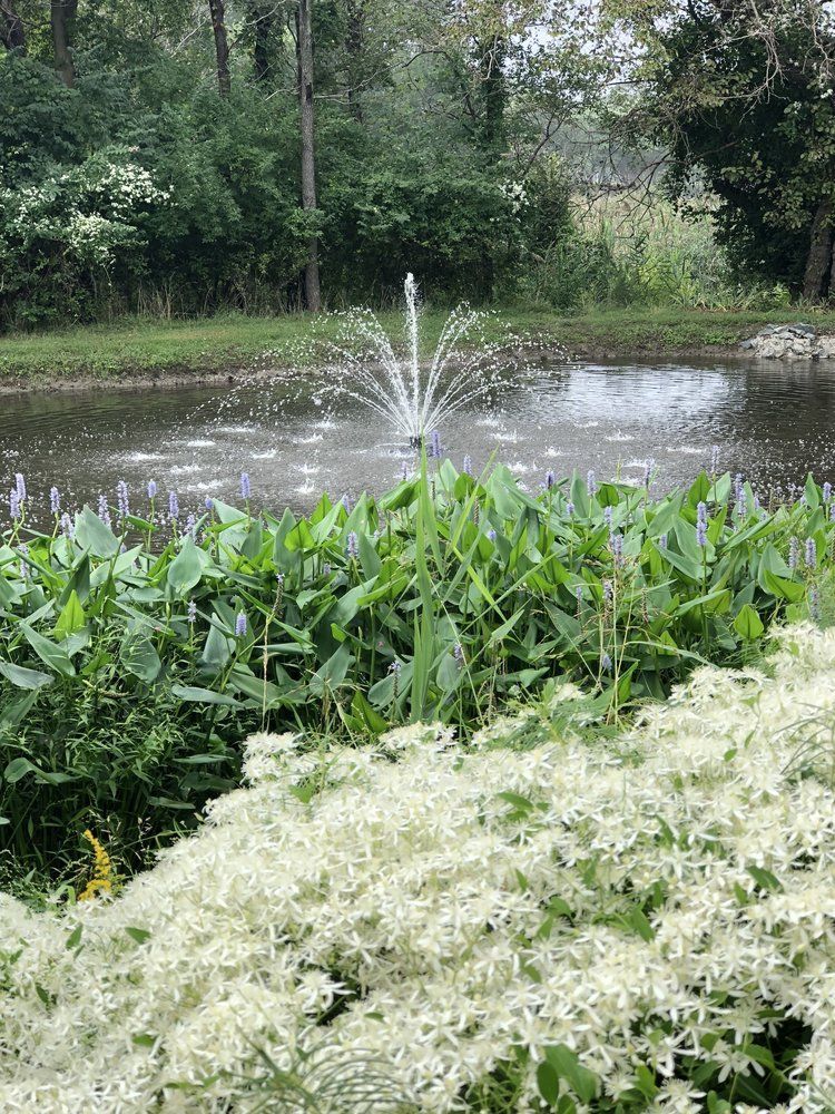 Aquascape fountain