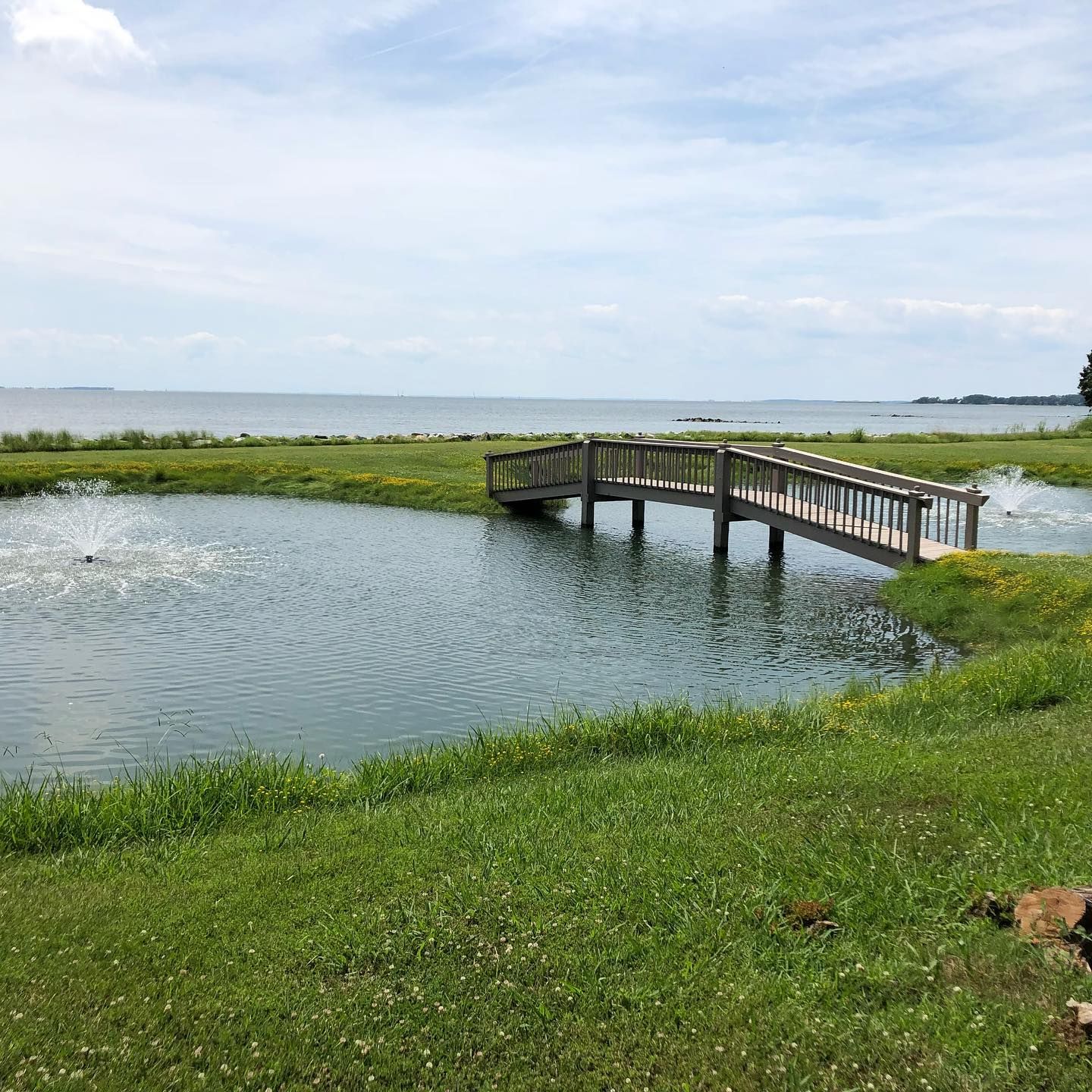Pond bridge