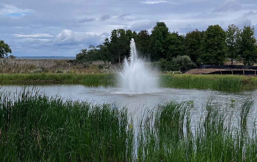 Pond fountain