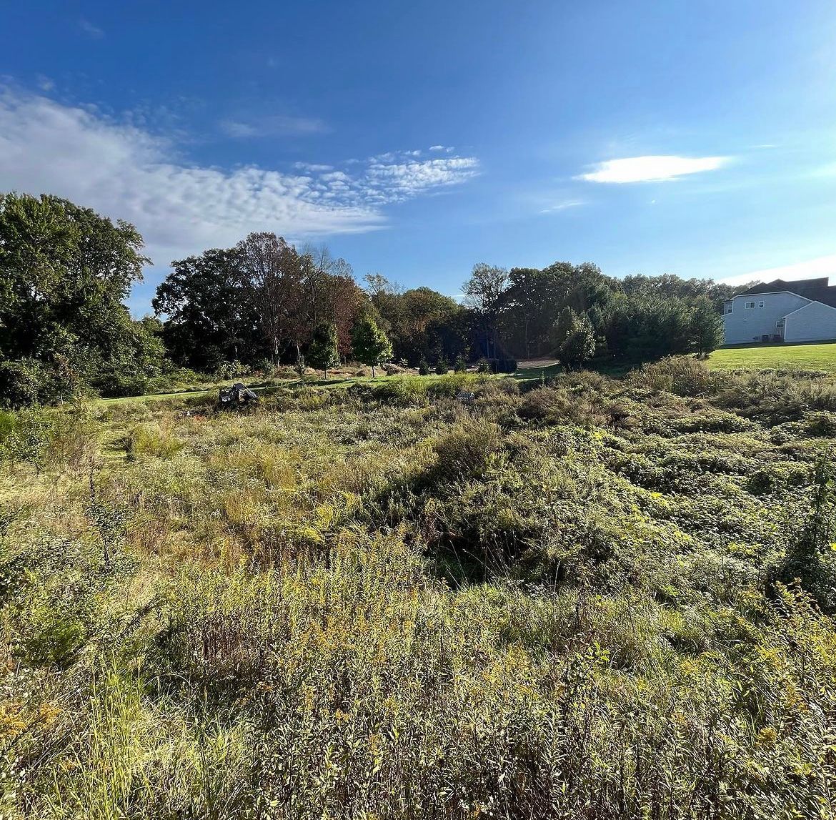 bio-retention basin mowing before