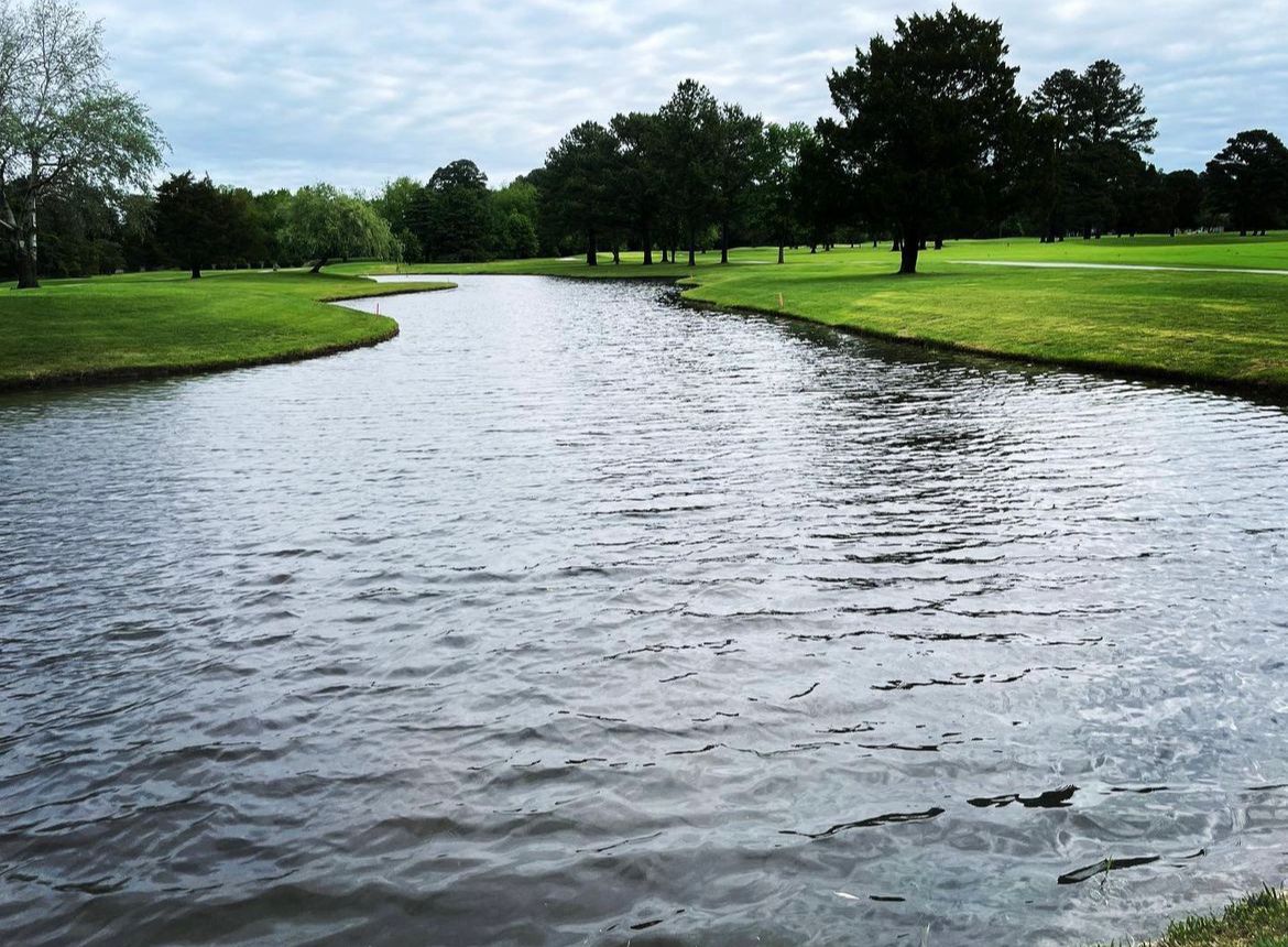 Golf Course pond algae control after