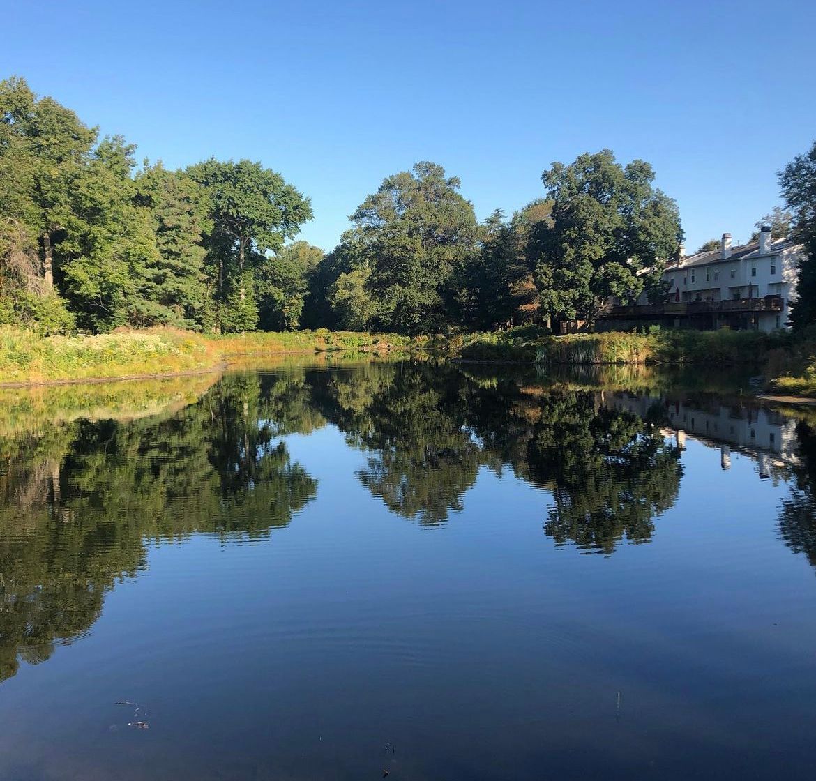 HOA stormwater pond duckweed control after