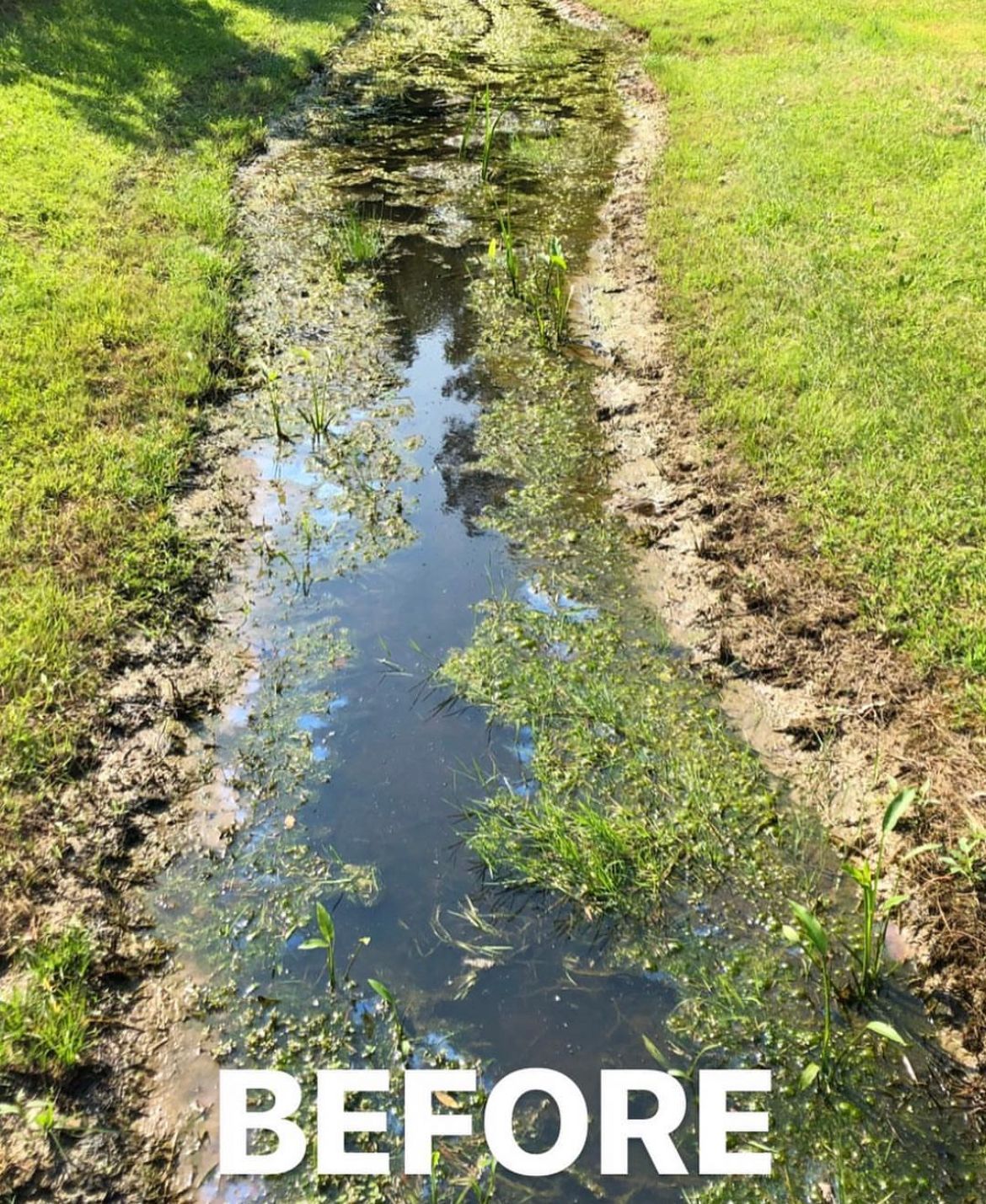 Pond inflow channel before
