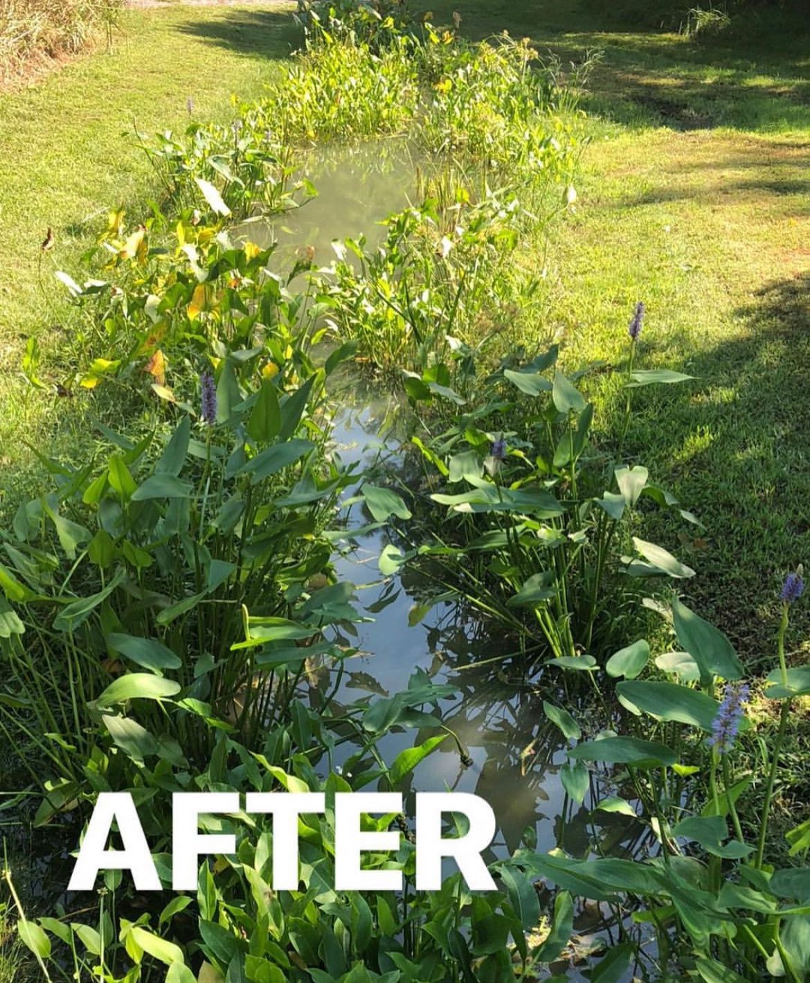 Pond inflow channel after